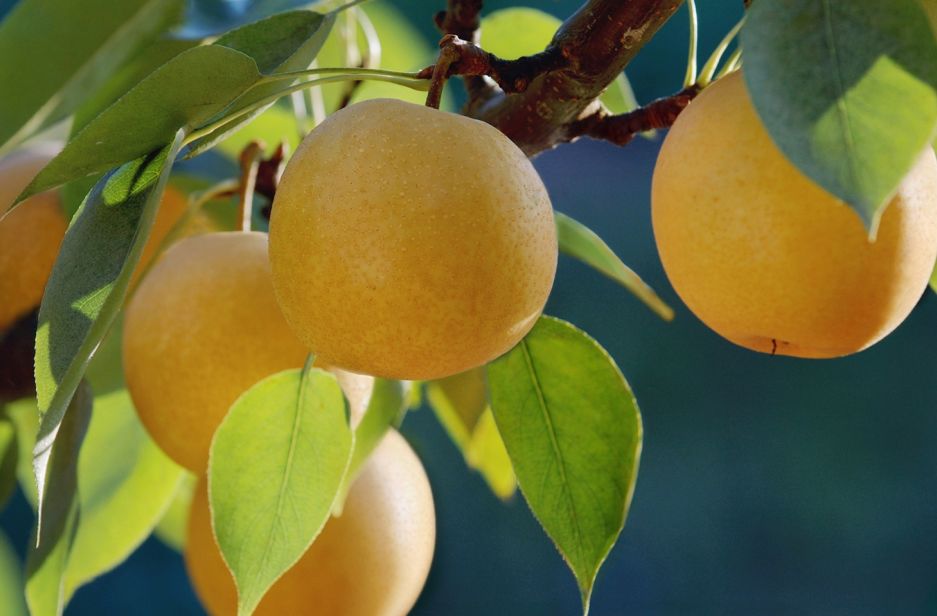 辈 愤然投身革命的厚重身影 云和历史上人才辈出 一代抗越名将王一卿