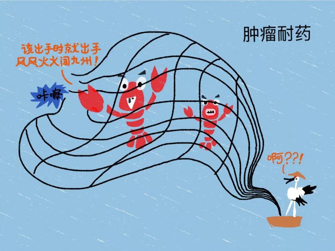 这就是 肿瘤耐药