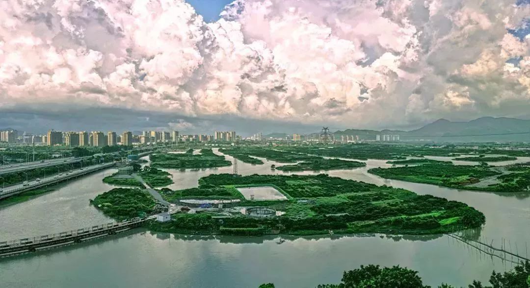 家燕归巢丨伟业如海,温州是湾,青春作伴好还乡!