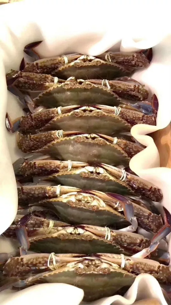活梭子蟹打包后,快速飞向食客
