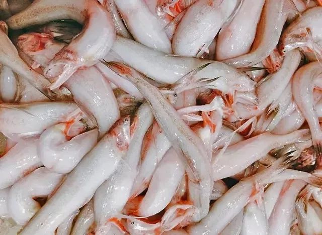 人送外号"东海小白龙"