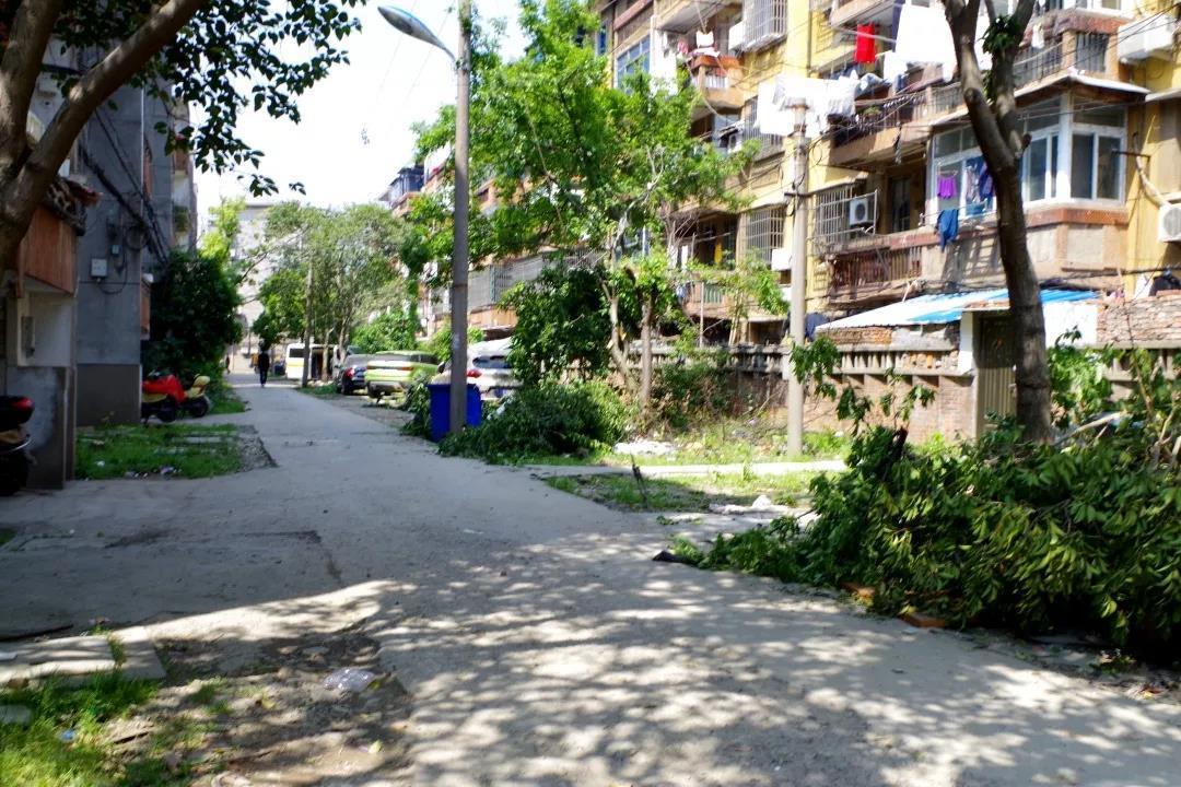 85万多群众受惠!我市投入近20亿元改造635个老旧小区