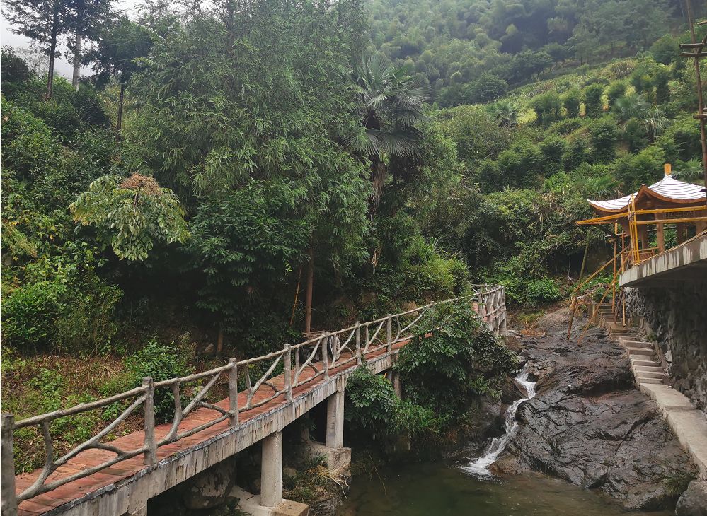 藏在金华南山的这个小村,不求爆红,只求安静邂逅!
