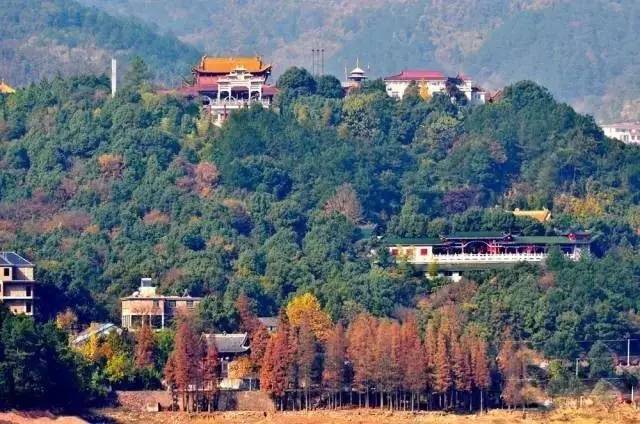 吐血整理金华当季最in烧烤野炊圣地!趁着国庆长假约起来!