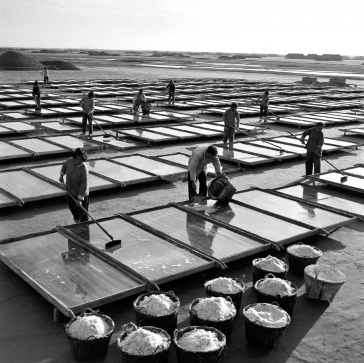 董光中/摄 上世纪60年代的盐场,农民正在晒盐