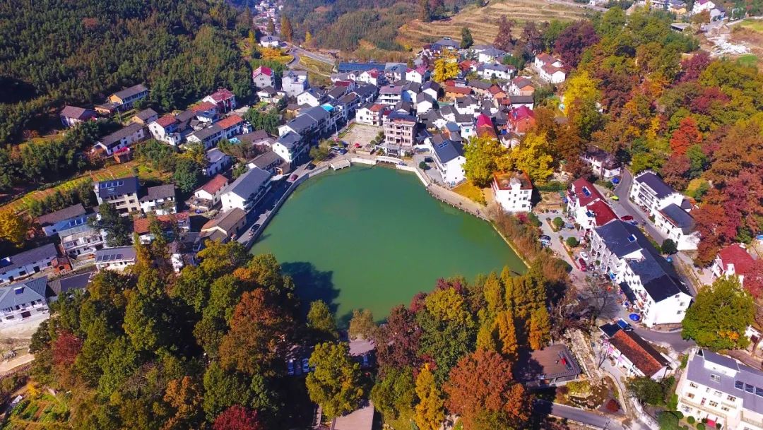 临安你怎么这么好看