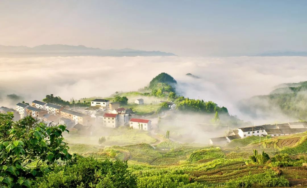 浙7座治愈人心的深山古寺,有些寺名都很少听见,却美了上千年!