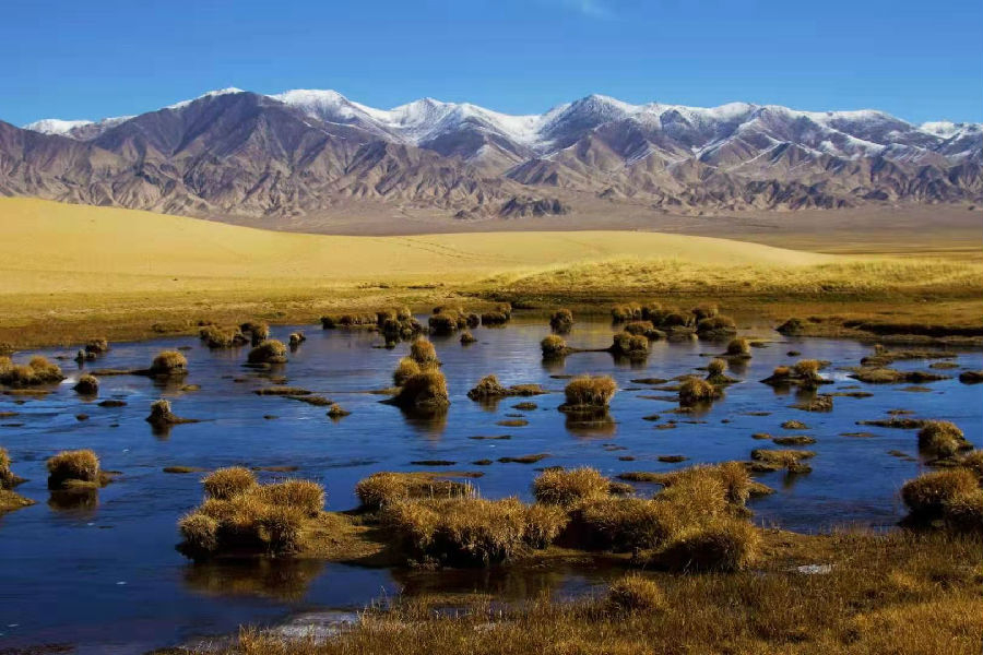 新疆若羌"红枣狂享周"即将在杭州星光大道广场拉开帷幕