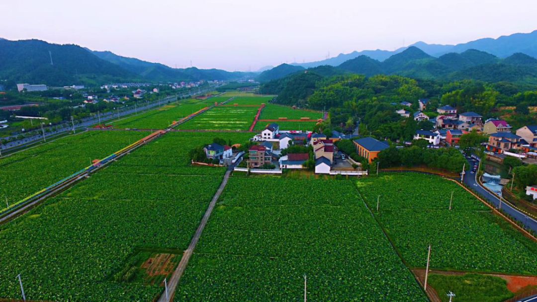 地址:富陽區新登鎮上山村.