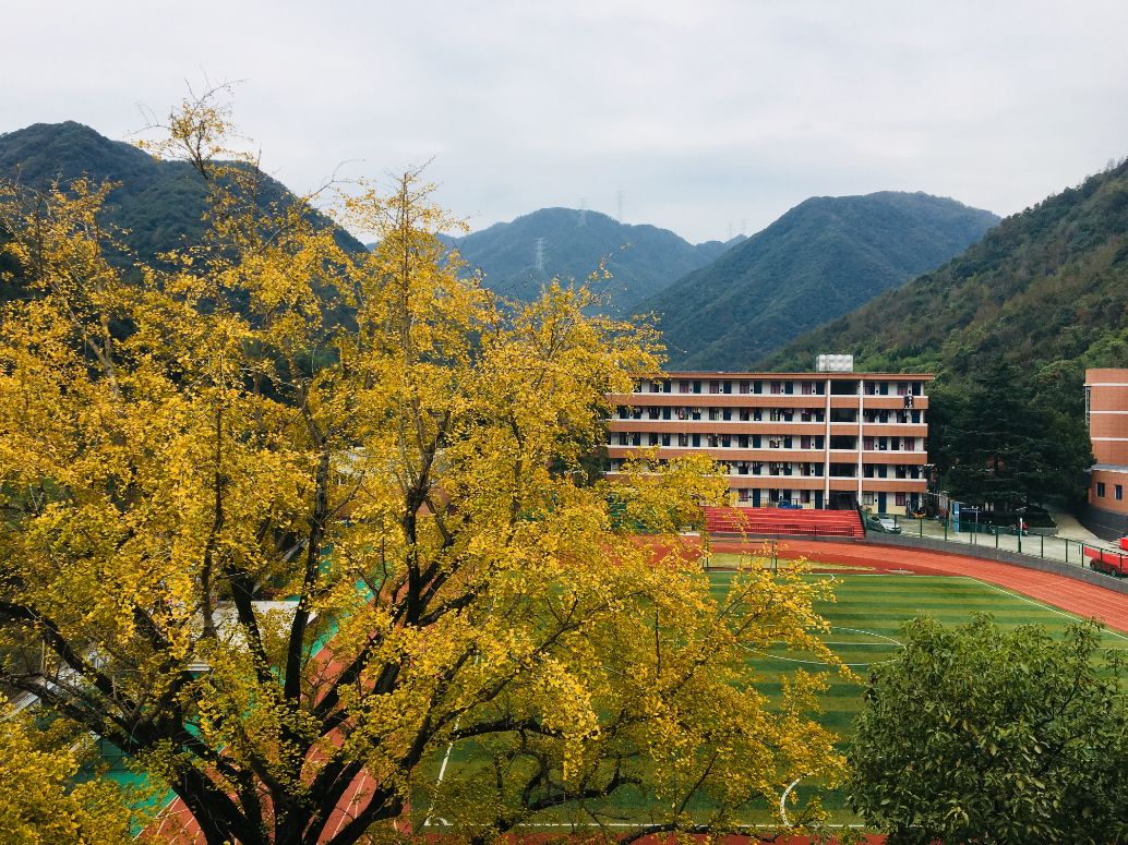 美到看不夠!第二波寧波校園秋景來了