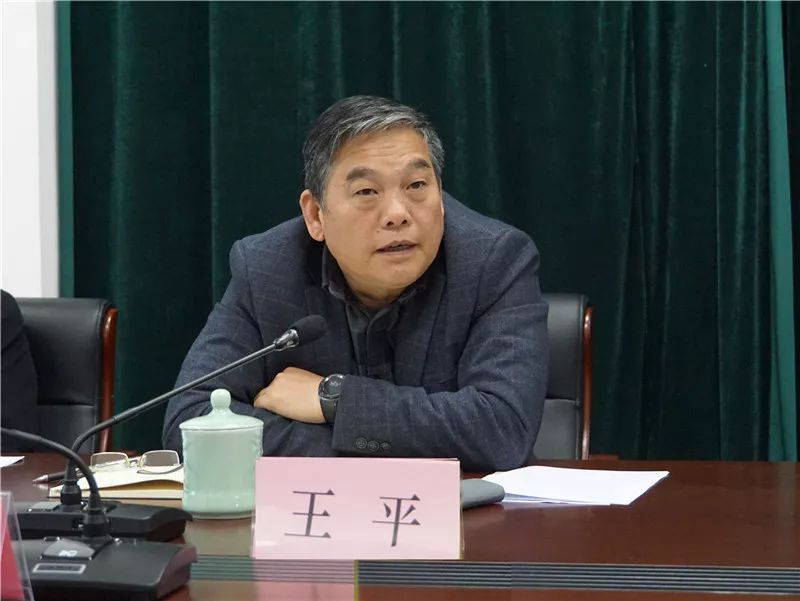 王平调研云和学前教育"木玩游戏"教育工作
