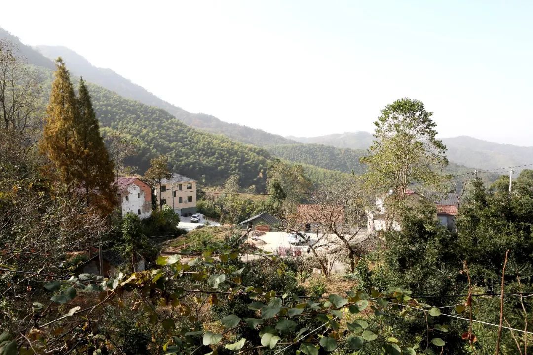 检察官两赴诸暨小山村,为"老弱病残"送去冬日暖阳