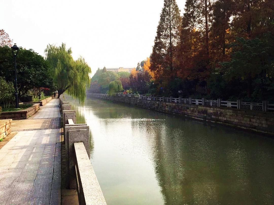 【五水共治】2019年杭州市"美丽河道"评定正式收官 (下)