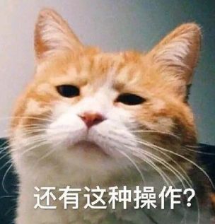 他喝酒了所以我让他开摩托这操作连交警都懵了