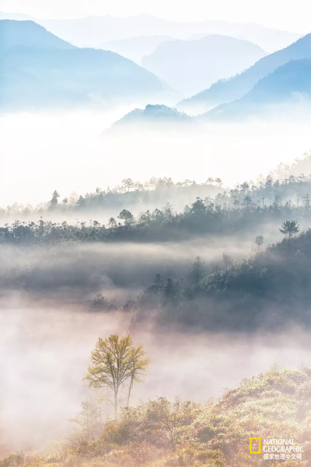 仙居上山湖的云海晨光