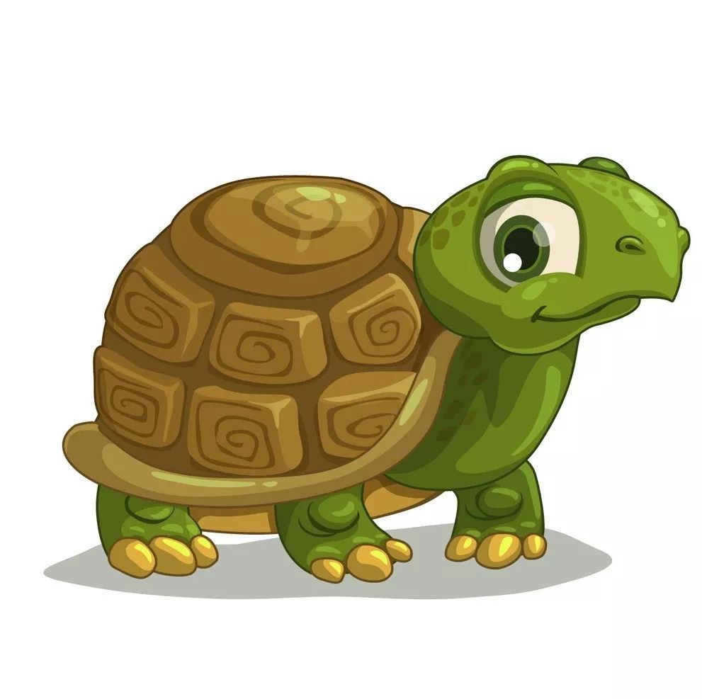 养的宠物来头不小,可最后却将自己送进了公安局