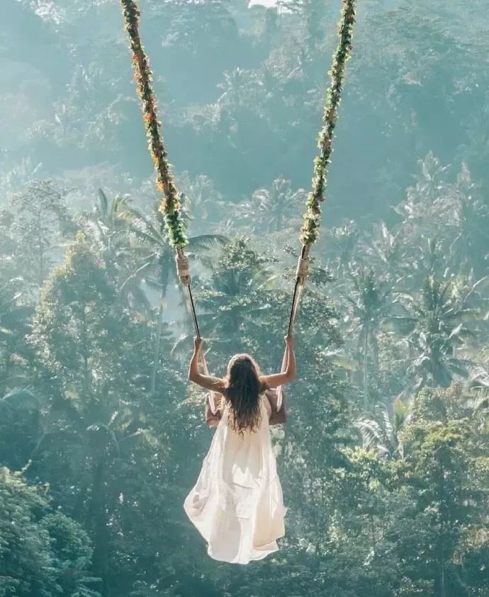 可是现实却是秋千不在山上! 鸟巢不在丛林里!