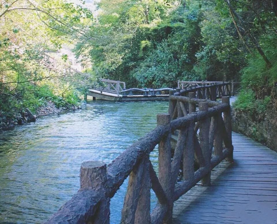 (游客手机中的花溪旧景)