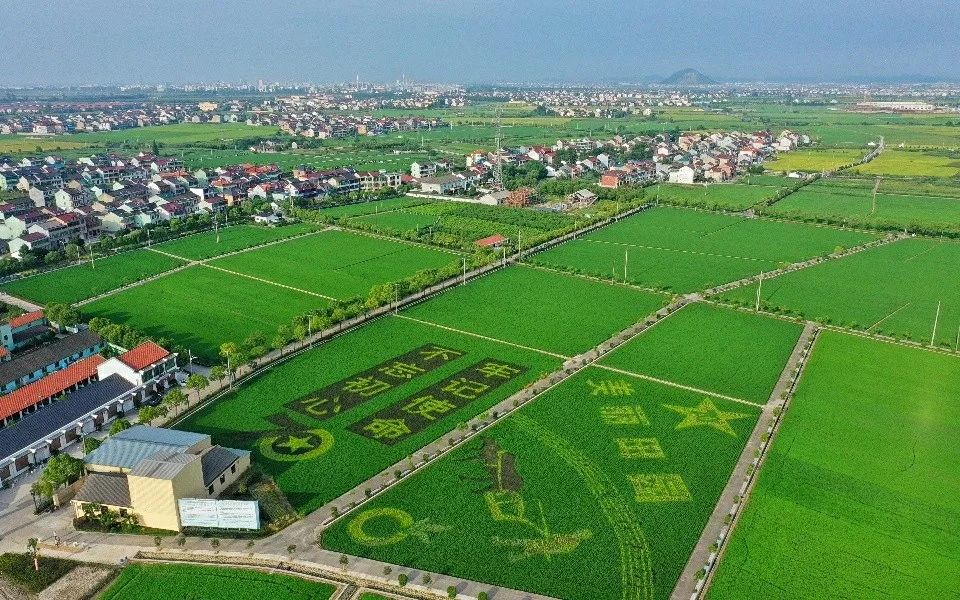 记者从市发改委获悉,《绍兴市乡村振兴战略规划(2018-2022年)》已正式