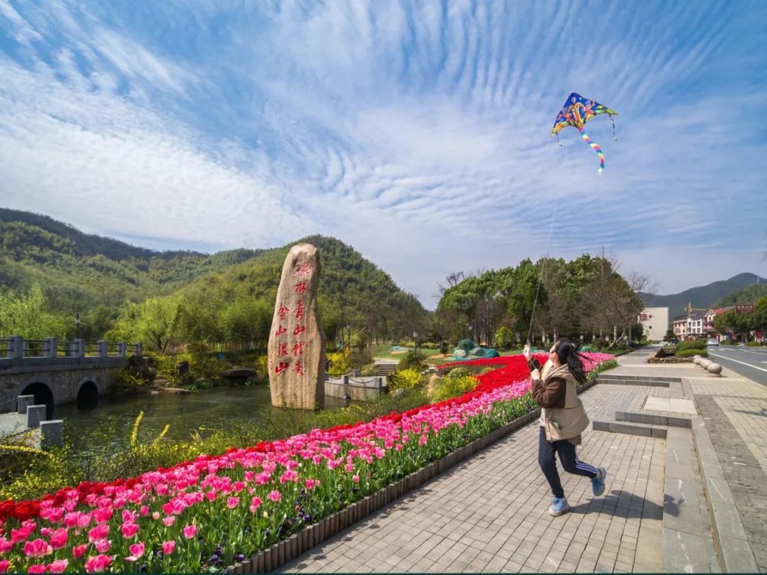 湖州市关于暂停清明祭扫活动的通告(第19号)