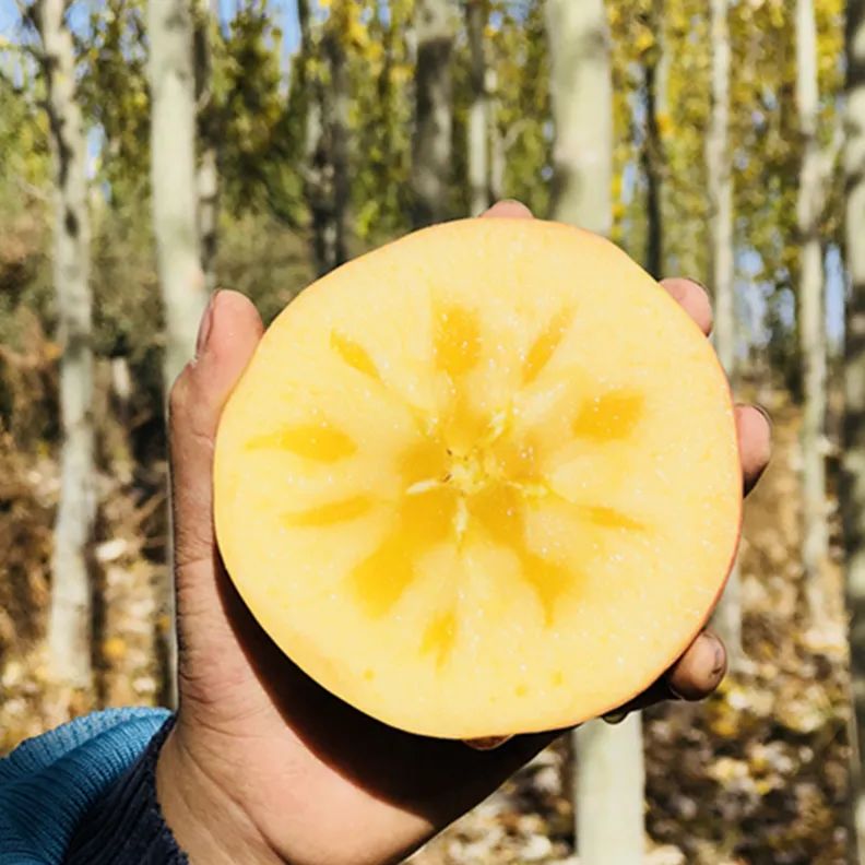 【帮推】真的好便宜!阿克苏苹果甜蜜来袭,仅49元一箱