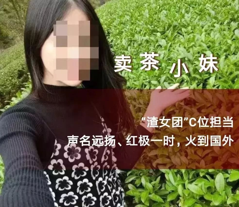 绿茶姑娘究竟有何魔力?