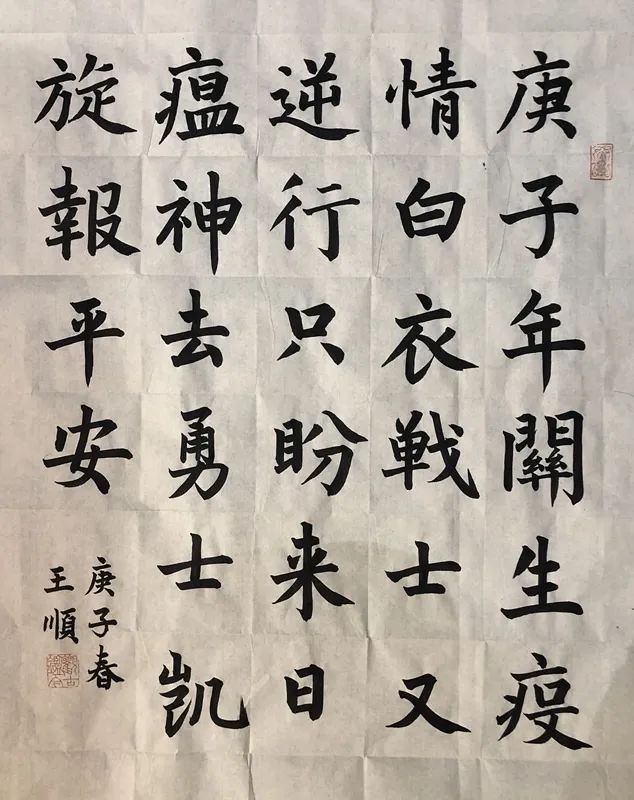 致敬防疫英雄,笔尖书写表真情 书法作品