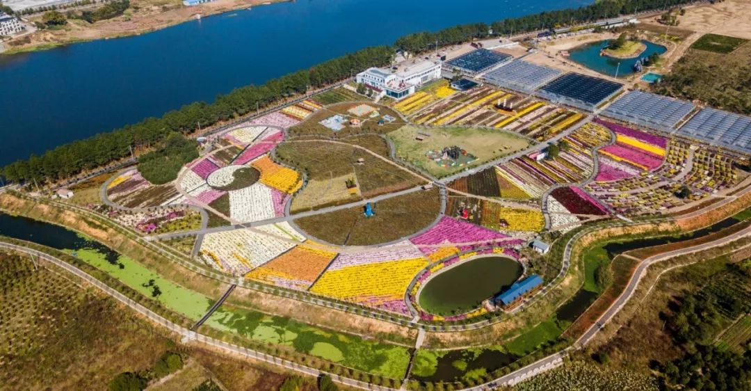 趕緊來看看 是哪些景區呢 錦林佛手文化園,金華山大佛寺景區,瑣園國際