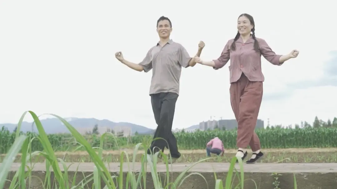 小英夫妇是当地地道的农民,他们种了八亩菜地,地里的黄瓜和玉米,都是