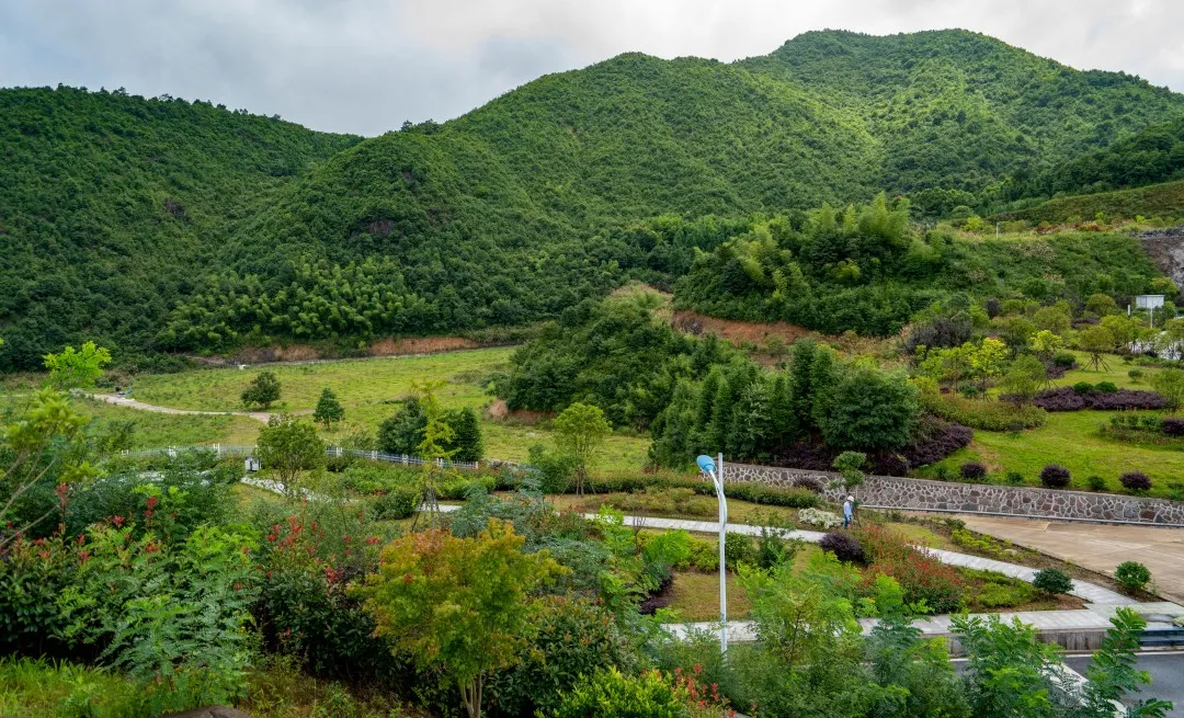 协同推进全省国土绿化,精准实施山地,坡地,城市,乡村,通道,沿海等六 
